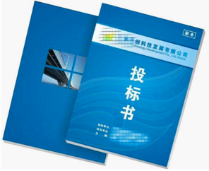 項目標書翻譯多少錢，標書翻譯公司報價